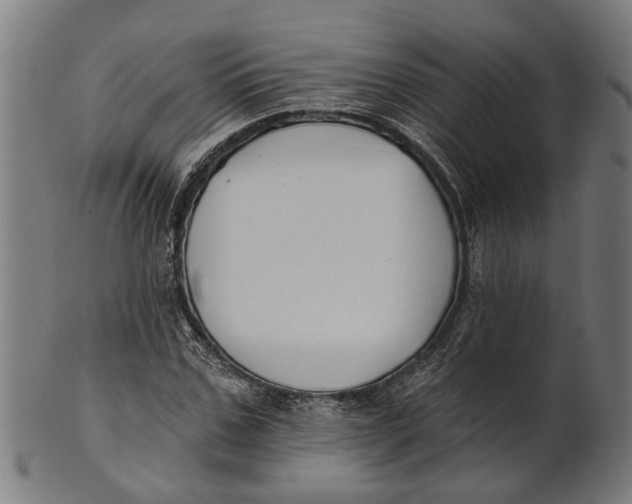 X0000100870971200807111314