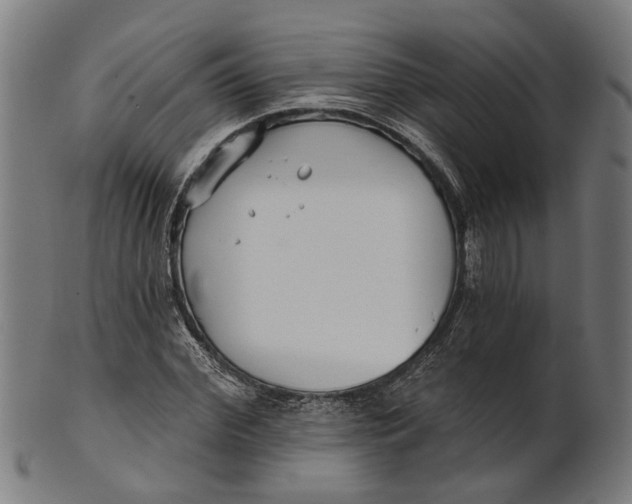 X0000100870972200807111314