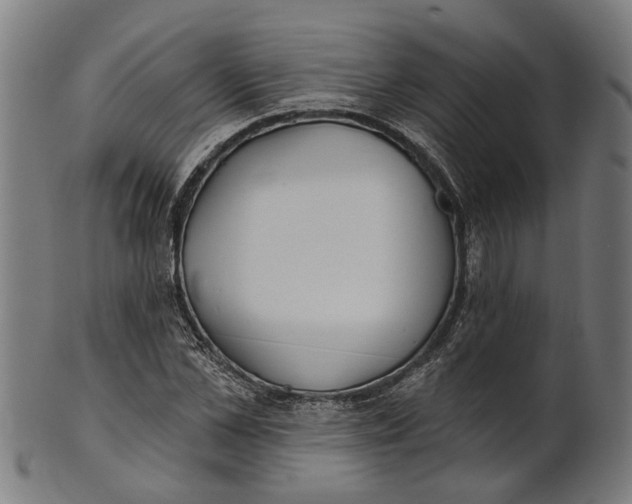 X0000100870973200807111314