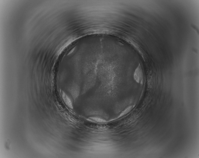 X0000100870975200807111314