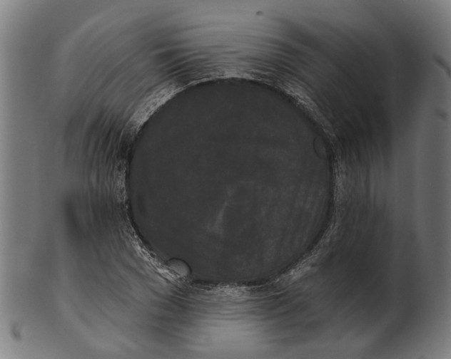 X0000100870977200807111314