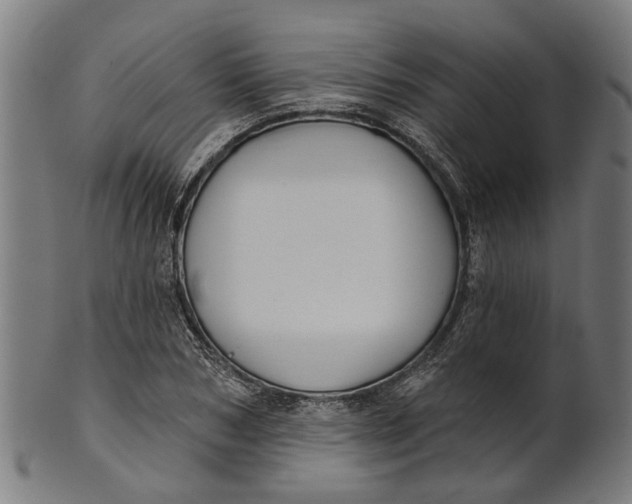 X0000100870978200807111314