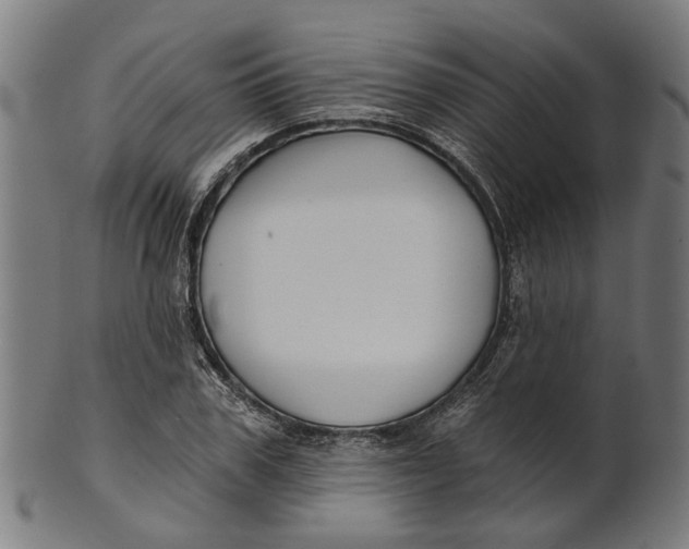 X0000100870979200807111314