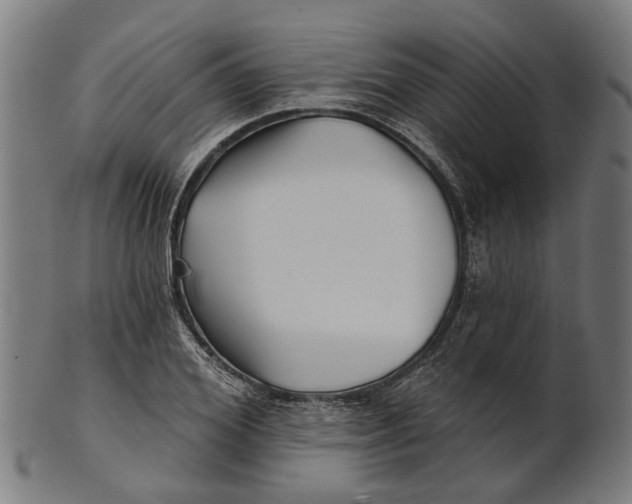 X0000100870980200807111314