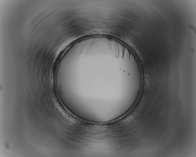 X0000100870981200807111313