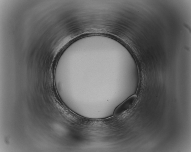 X0000100870982200807111313