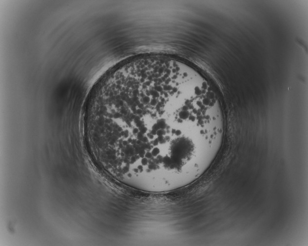 X0000100870983200807111313