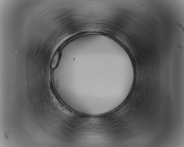 X0000100870984200807111313