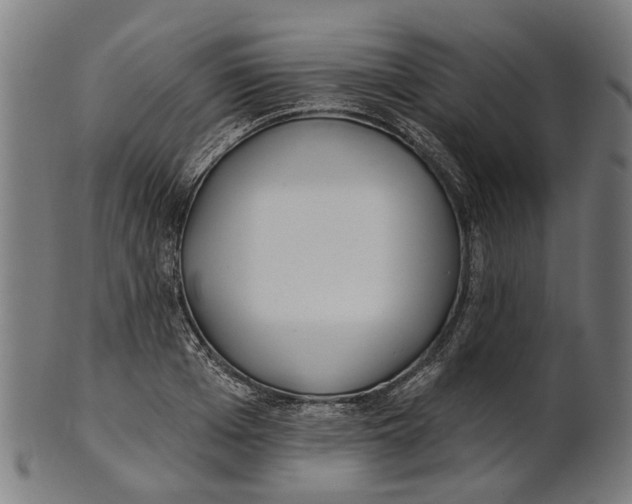 X0000100870985200807111313