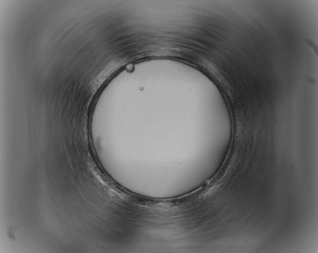 X0000100870986200807111313