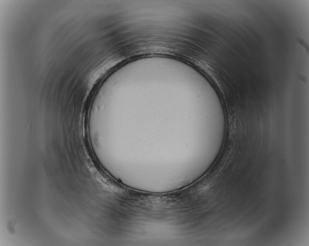 X0000100870987200807111313