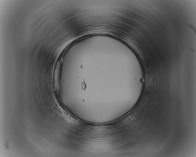 X0000100870988200807111313