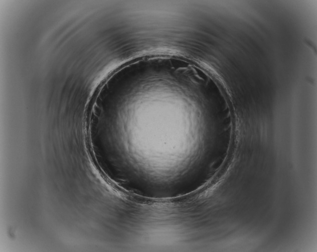 X0000100870989200807111313