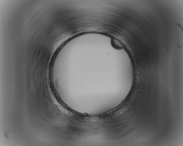 X0000100870991200807111313