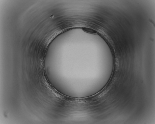 X0000100870993200807111313