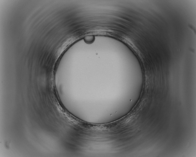 X0000100870994200807111313