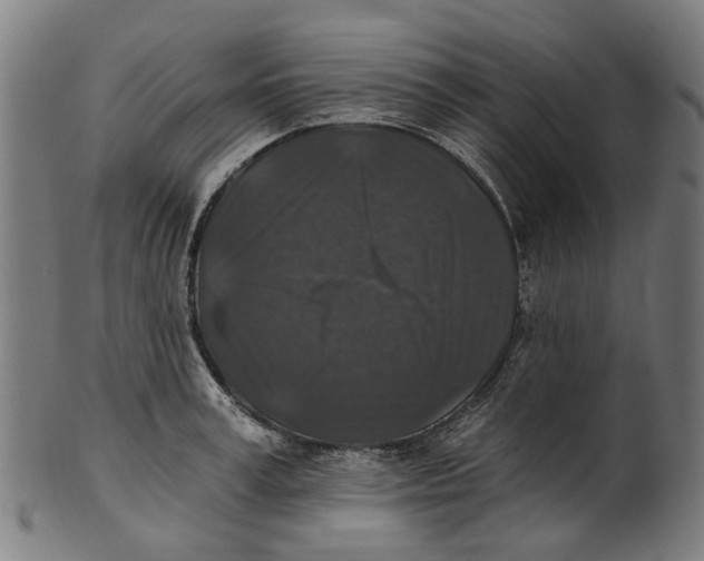 X0000100870995200807111313