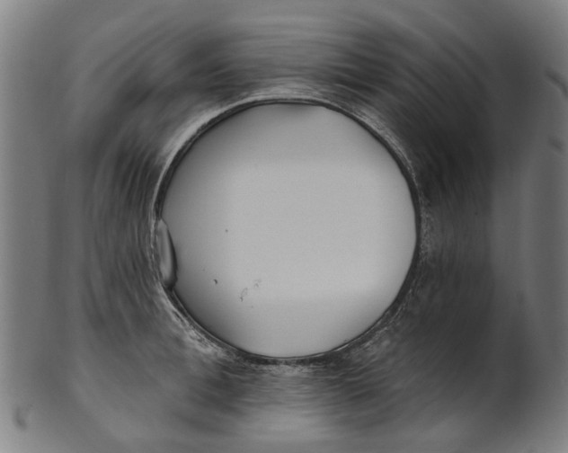 X0000100870996200807111313