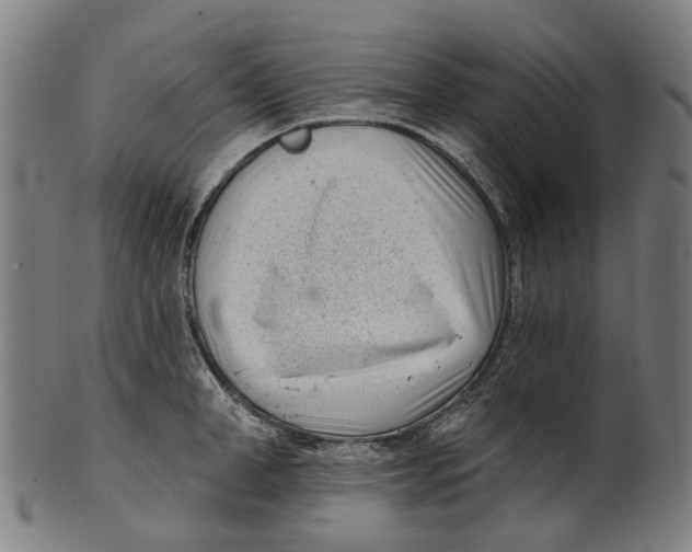 X0000100870998200807111313