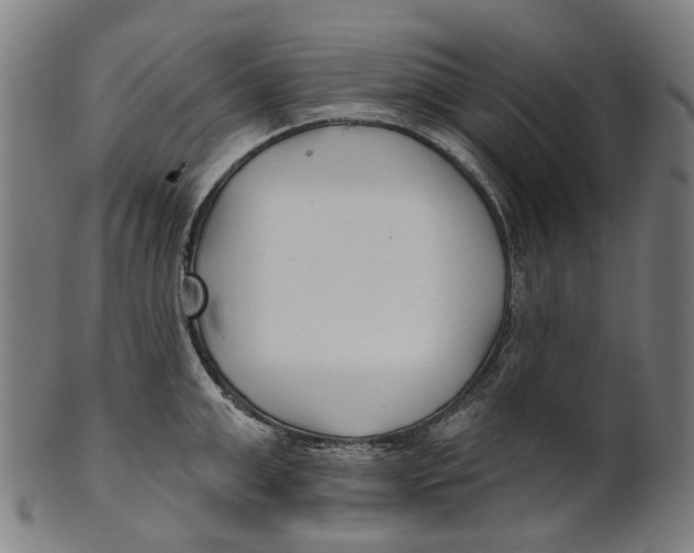 X0000100870999200807111313