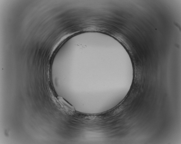 X0000100871000200807111313