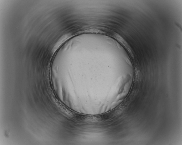 X0000100871002200807111313