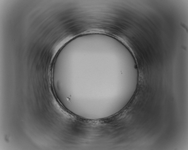 X0000100871003200807111313