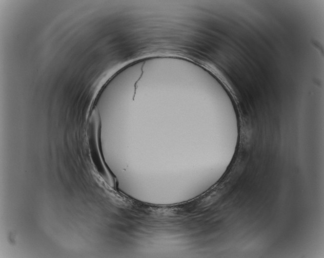 X0000100871004200807111313