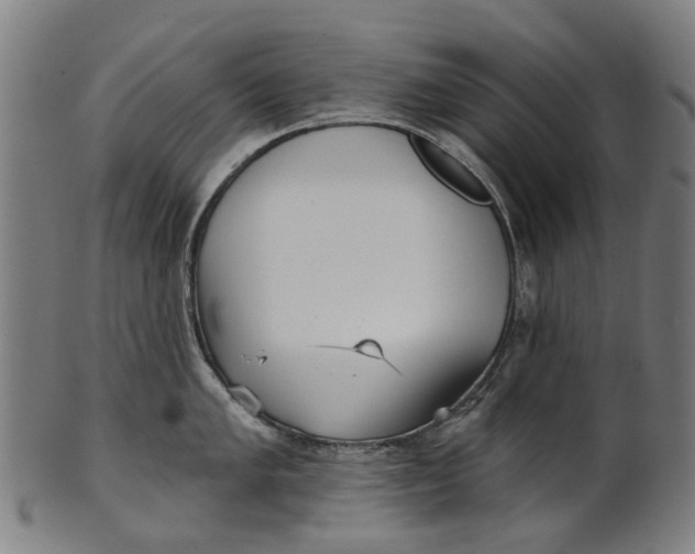 X0000100871005200807111313