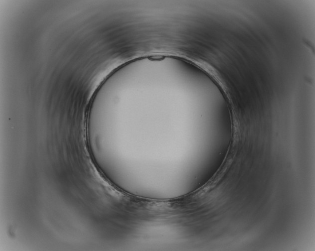 X0000100871006200807111313