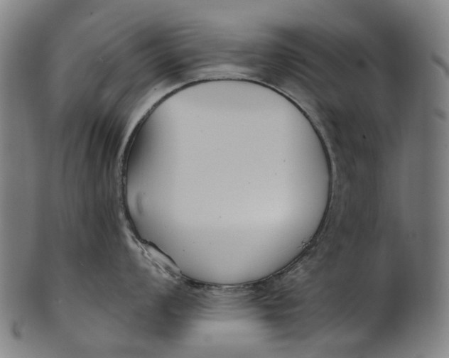 X0000100871008200807111313