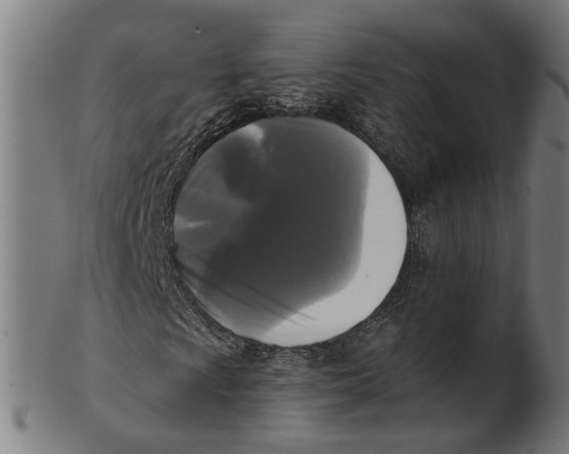 X0000100871009200807111312