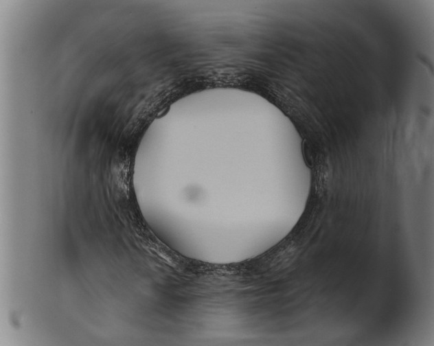 X0000100871010200807111312