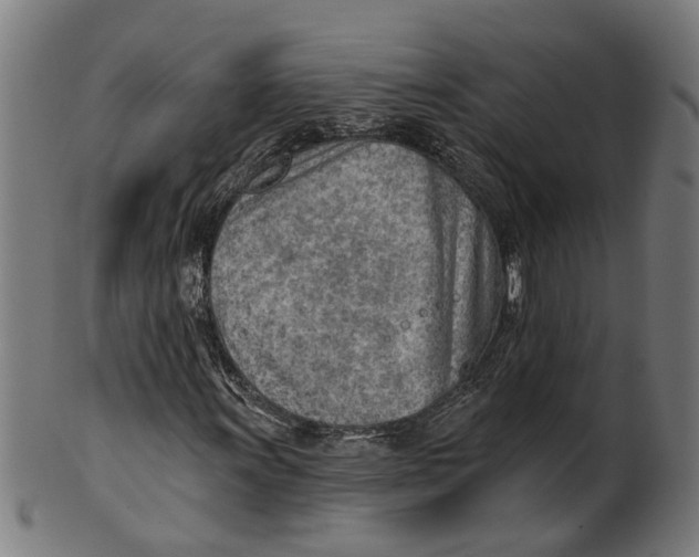 X0000100871011200807111312