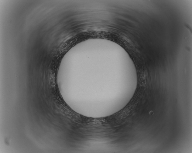 X0000100871013200807111312