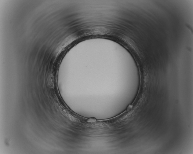 X0000100871018200807111312