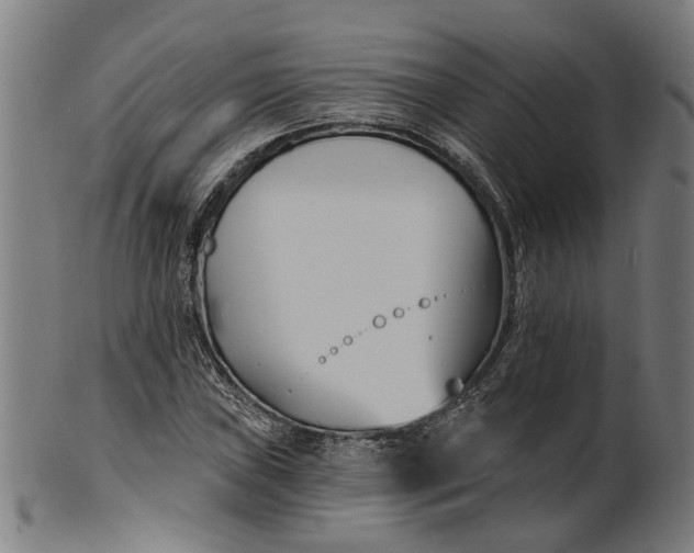 X0000100871019200807111312