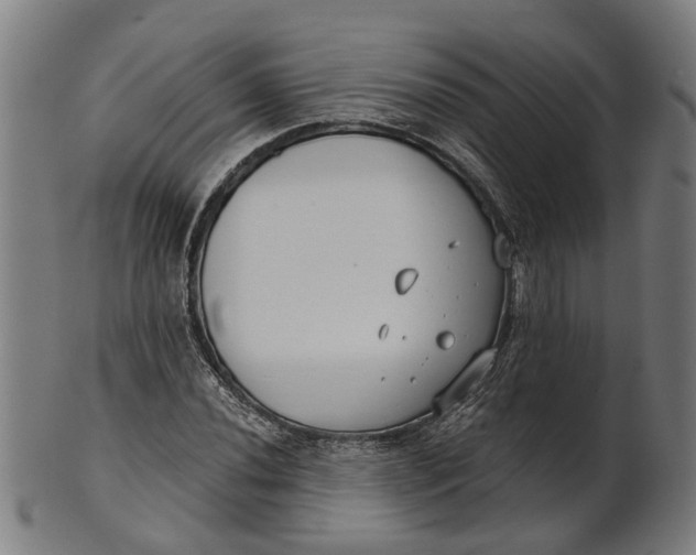 X0000100871020200807111312