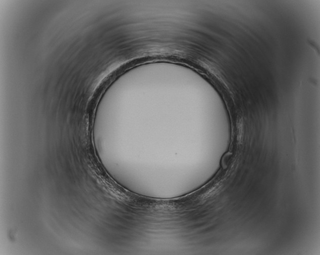 X0000100871021200807111312