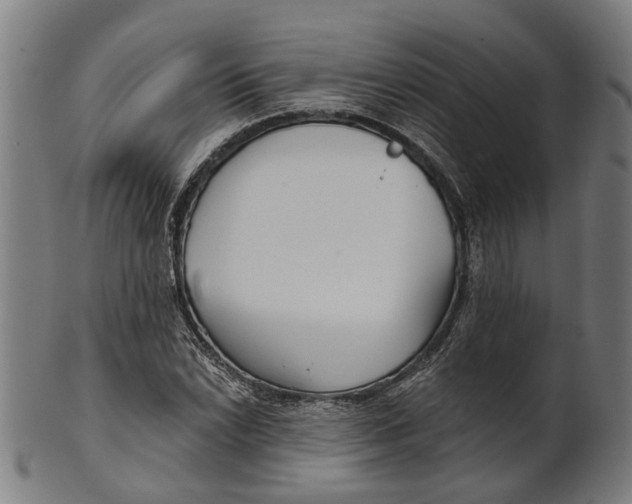 X0000100871022200807111312