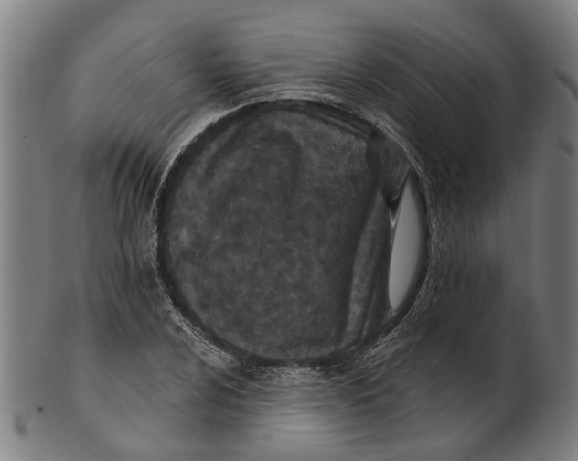 X0000100871024200807111312