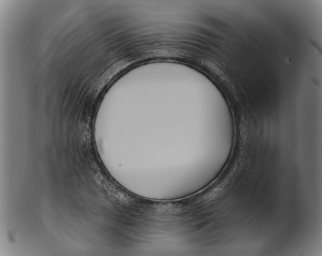 X0000100871025200807111312