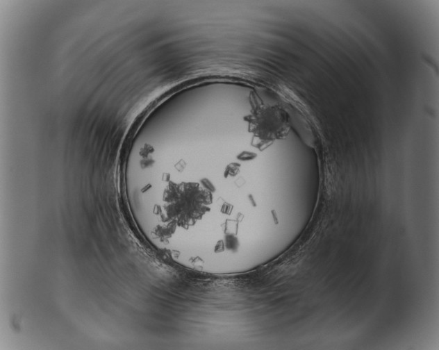 X0000100871028200807111313