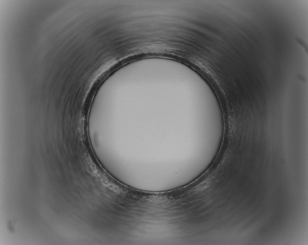 X0000100871029200807111313