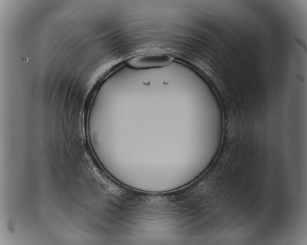 X0000100871030200807111313