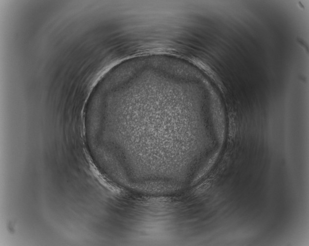 X0000100871031200807111313