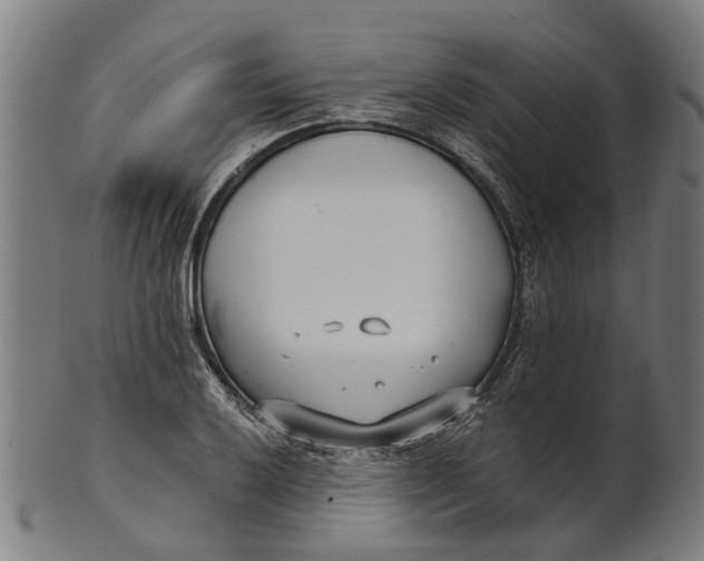 X0000100871032200807111313