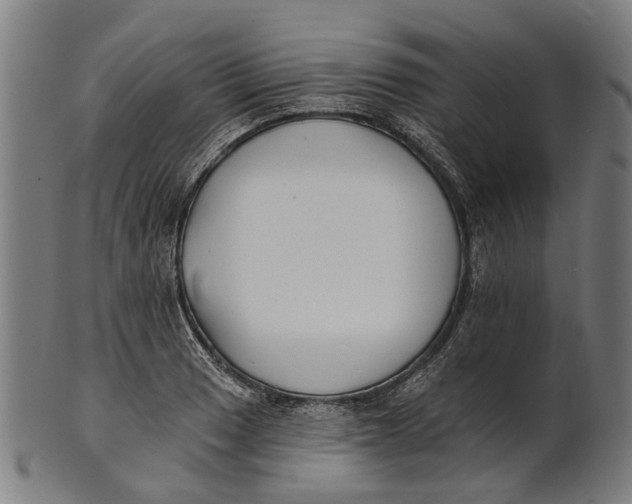 X0000100871033200807111313