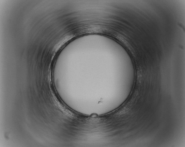 X0000100871034200807111313