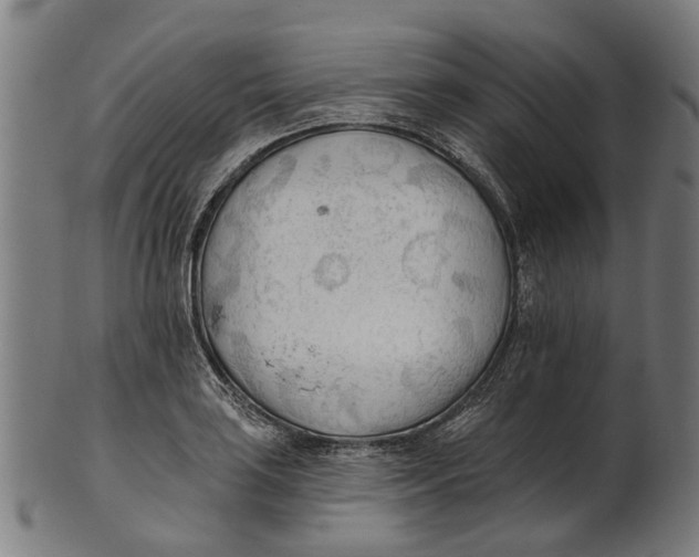 X0000100871035200807111313